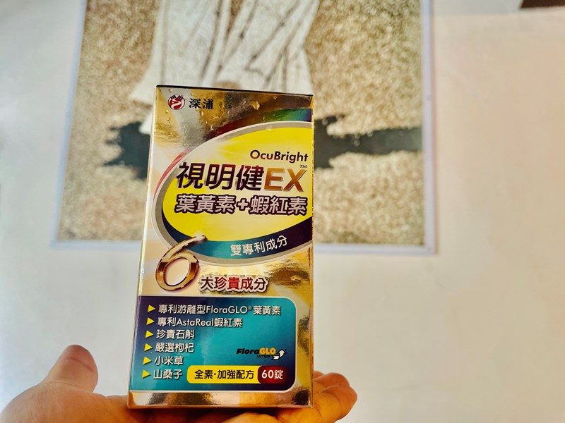 試用